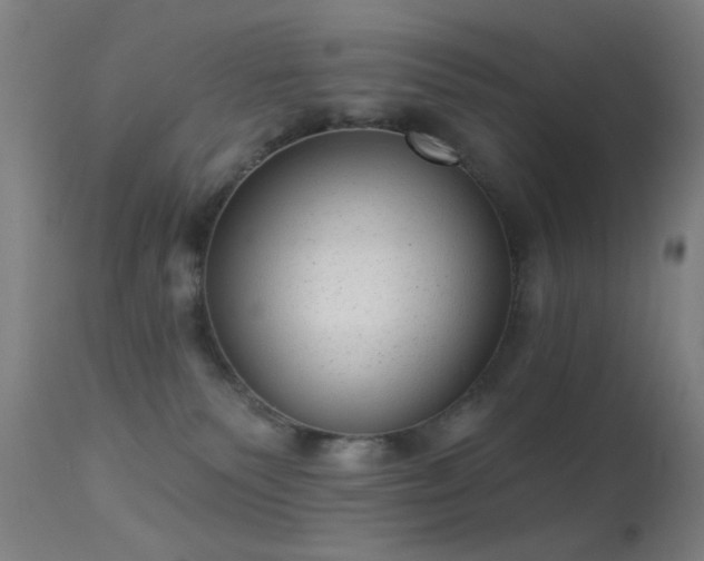 X0000113320135200909211205