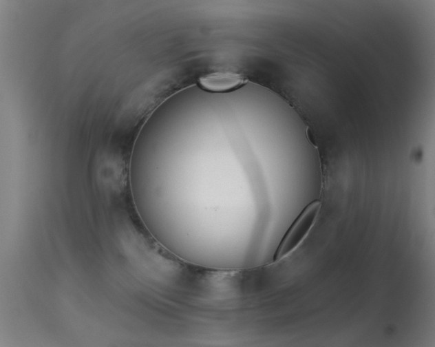 X0000113320136200909211205