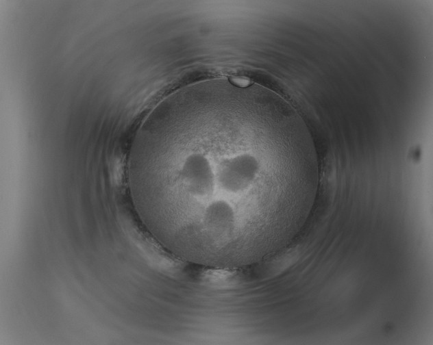 X0000113320139200909211205