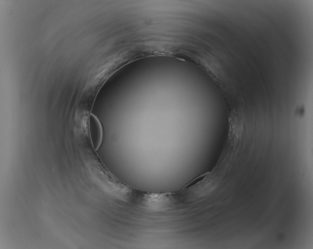 X0000113320141200909211205