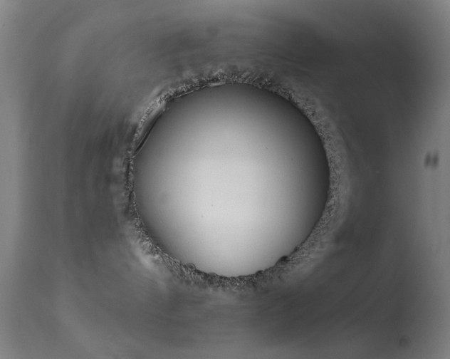 X0000113320144200909211205