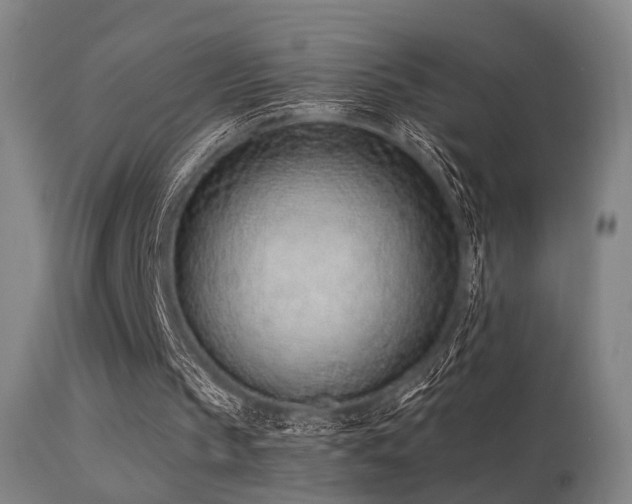 X0000113320145200909211204