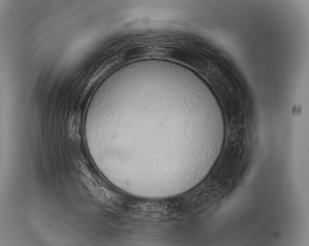 X0000113320146200909211204