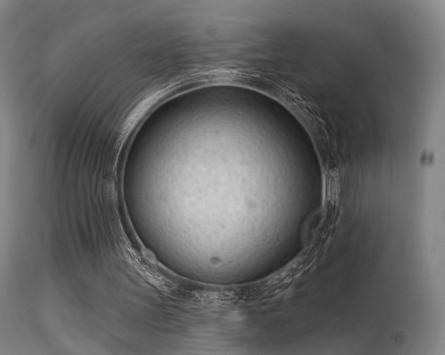 X0000113320147200909211204