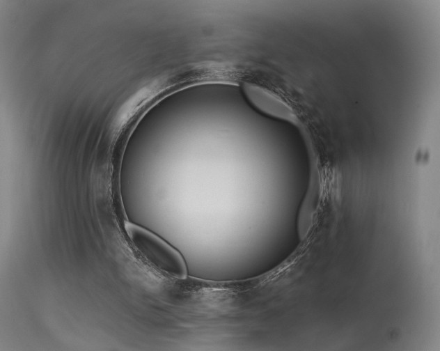 X0000113320150200909211204