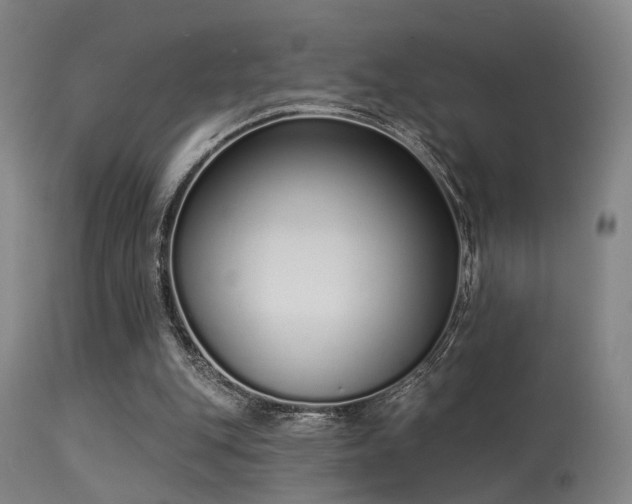 X0000113320151200909211204