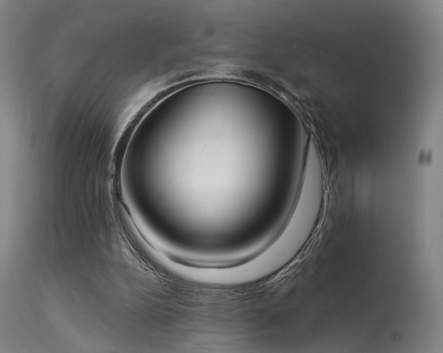 X0000113320152200909211204