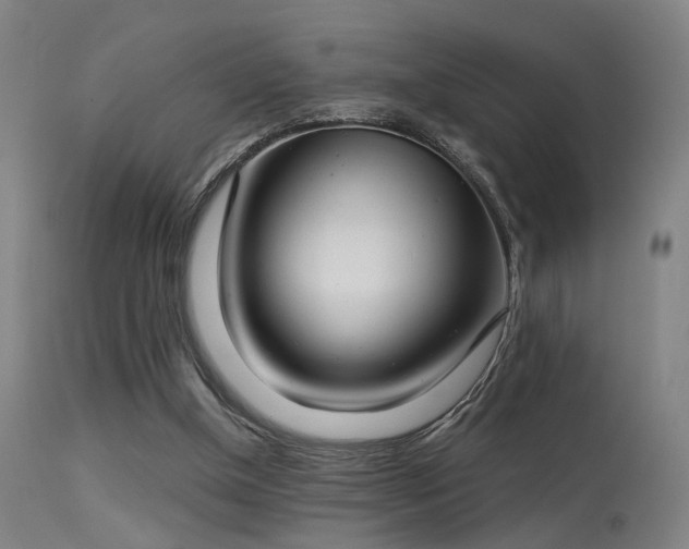 X0000113320154200909211204