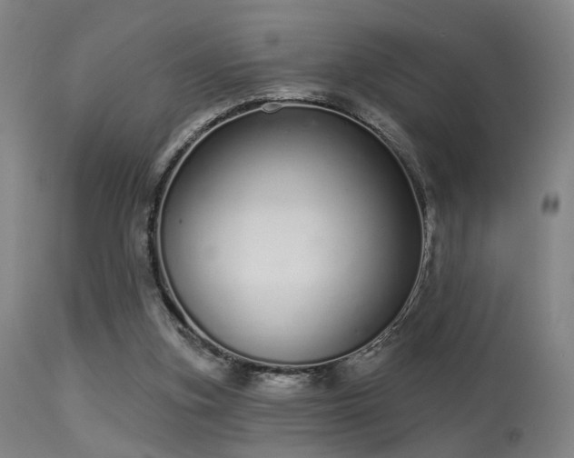 X0000113320155200909211204