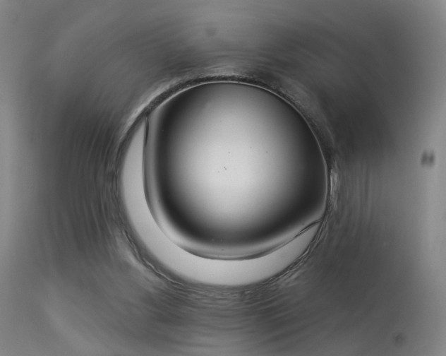 X0000113320156200909211204