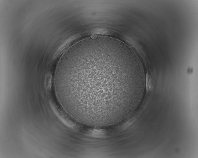 X0000113320157200909211204