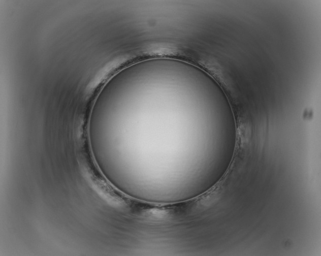 X0000113320159200909211204