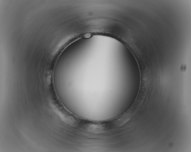 X0000113320160200909211204