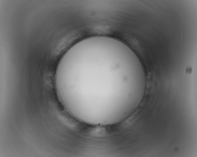 X0000113320162200909211204