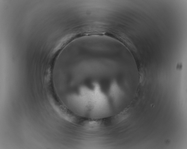 X0000113320163200909211204