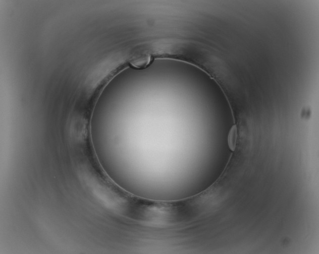 X0000113320164200909211204