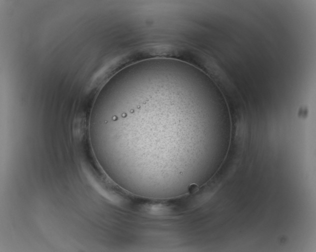 X0000113320165200909211204