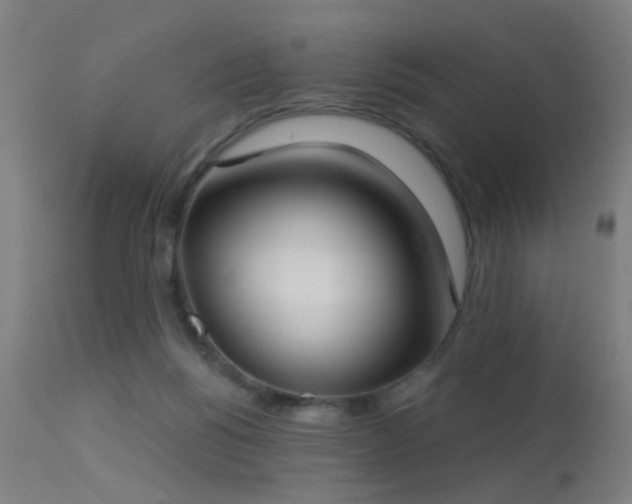 X0000113320168200909211204