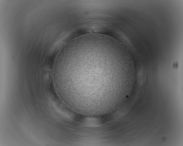 X0000113320169200909211204