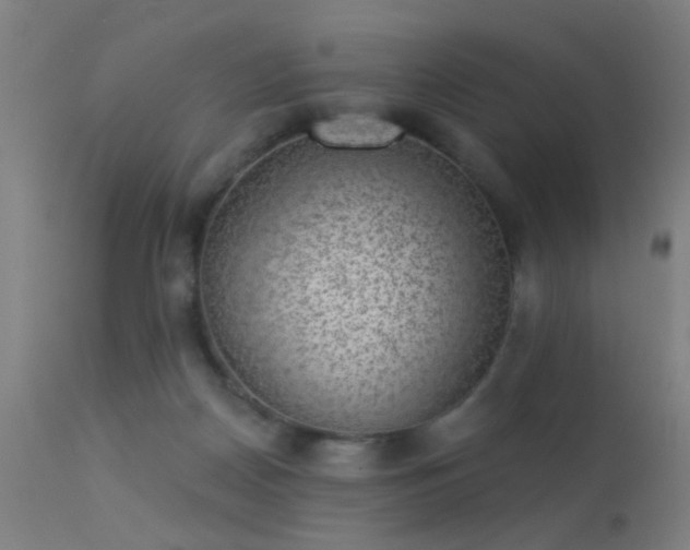 X0000113320170200909211204