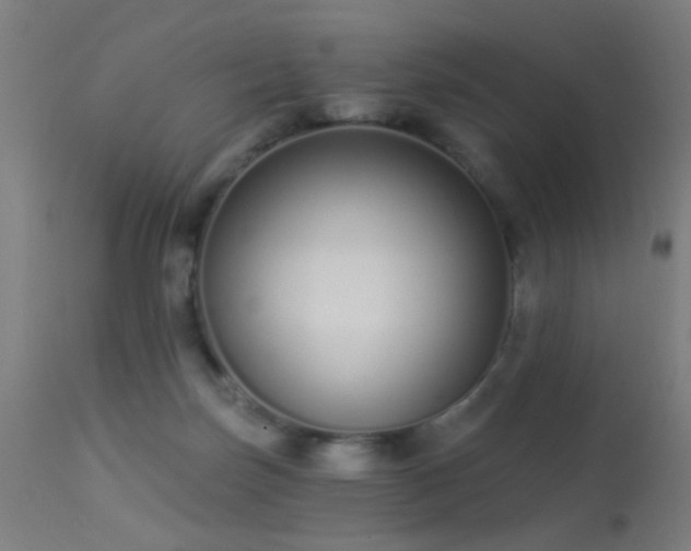 X0000113320171200909211204