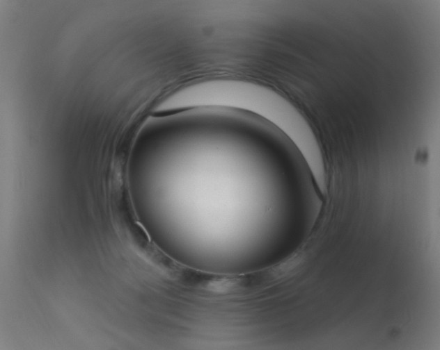 X0000113320172200909211204