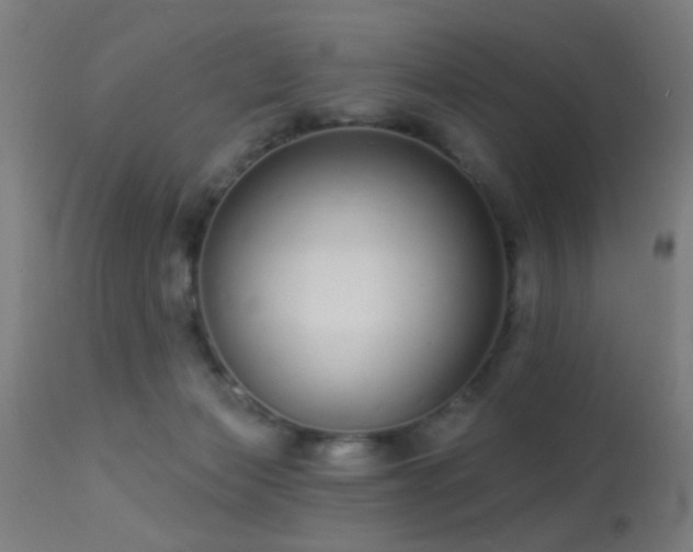 X0000113320173200909211204