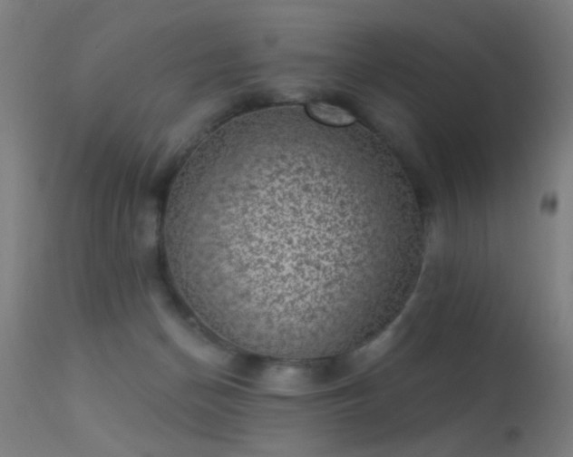 X0000113320174200909211204