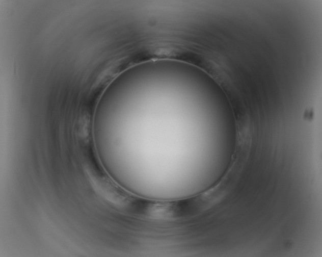 X0000113320175200909211204