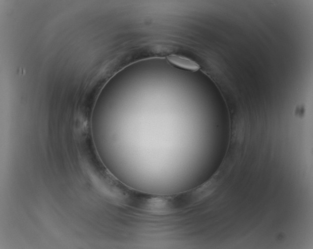 X0000113320176200909211204