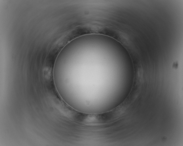 X0000113320177200909211204