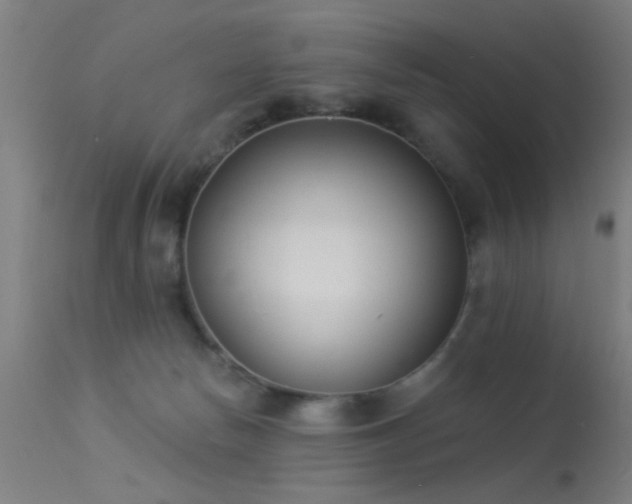 X0000113320178200909211204