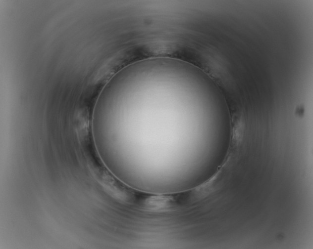 X0000113320179200909211204