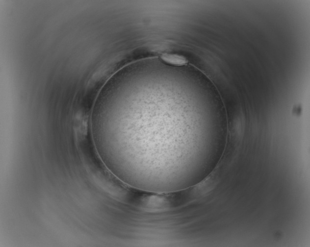 X0000113320180200909211204