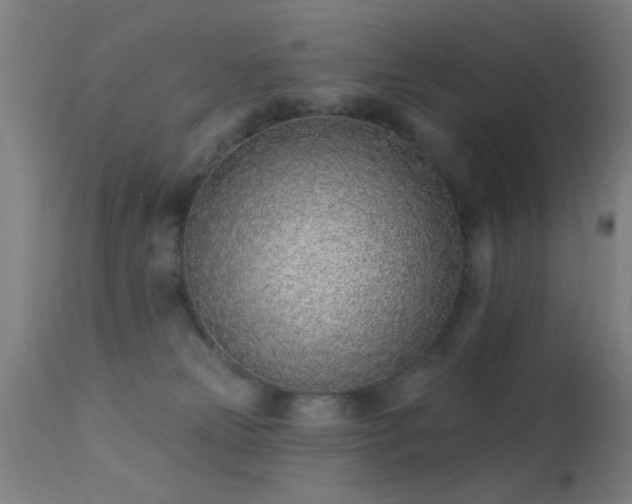 X0000113320181200909211204