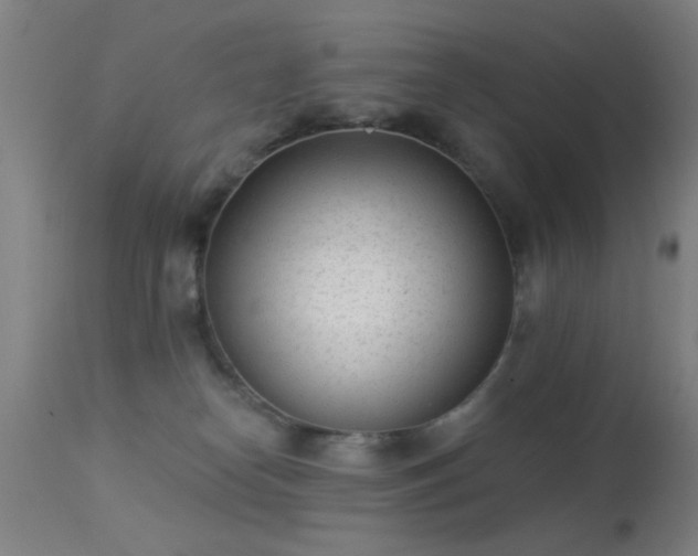 X0000113320182200909211204