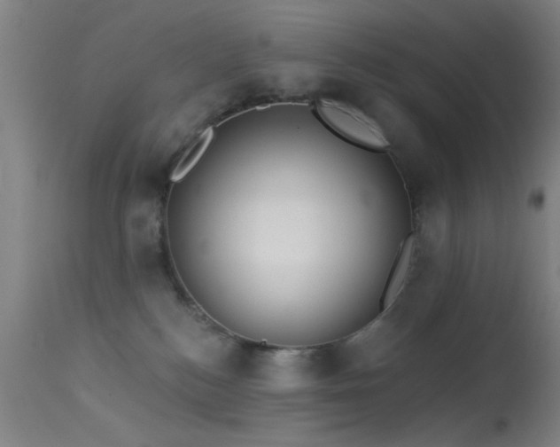 X0000113320184200909211204