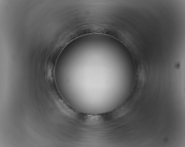 X0000113320185200909211204