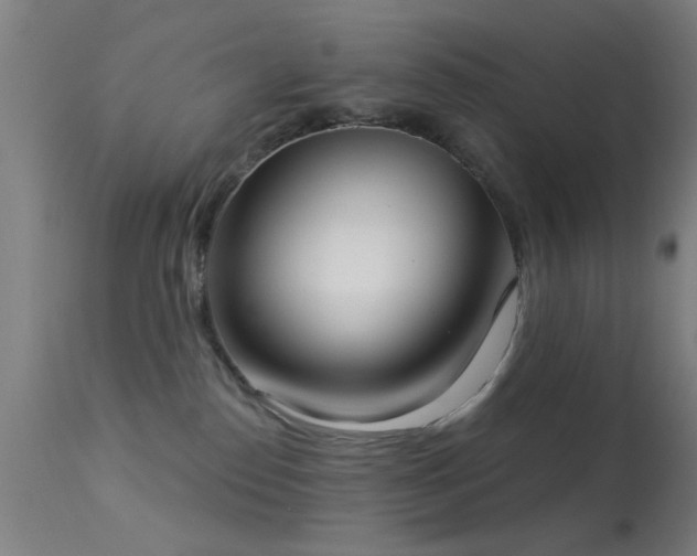 X0000113320186200909211204