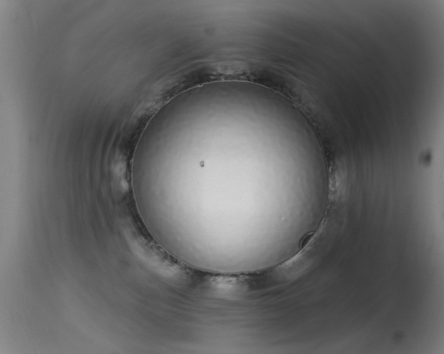 X0000113320187200909211204