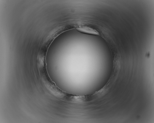 X0000113320188200909211204