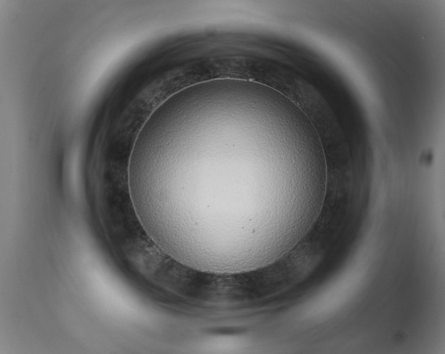 X0000113320189200909211204