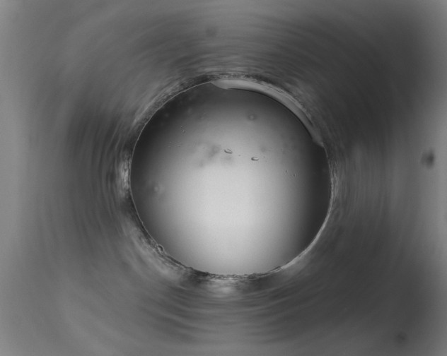 X0000113320190200909211205