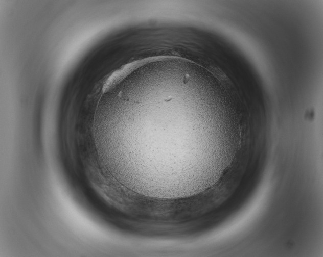 X0000113320191200909211205