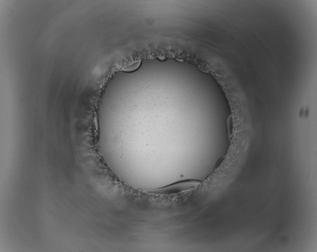 X0000113320192200909211205