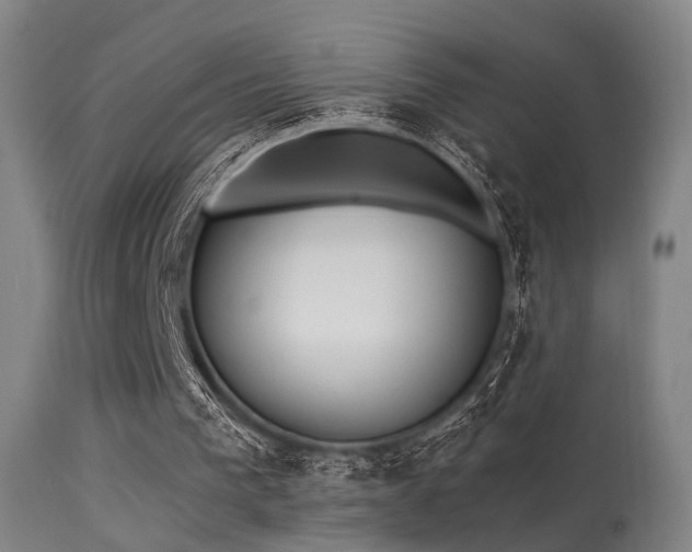 X0000113320193200909211204