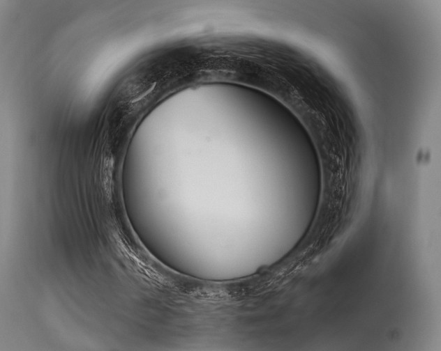 X0000113320194200909211204