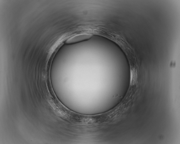 X0000113320195200909211204