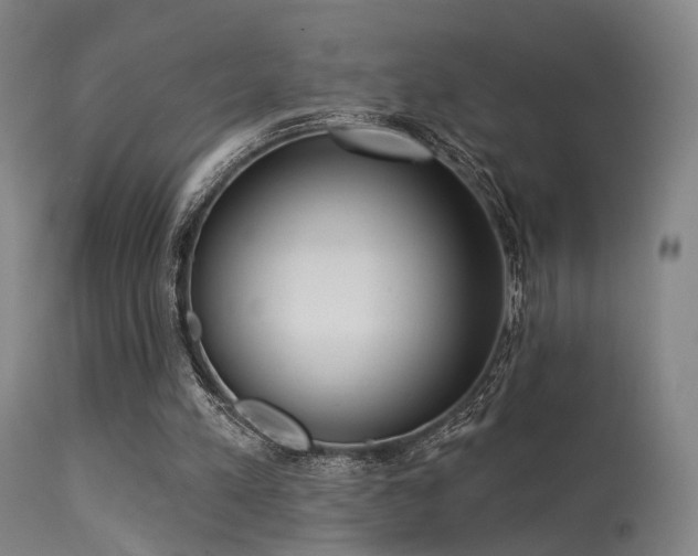 X0000113320197200909211204