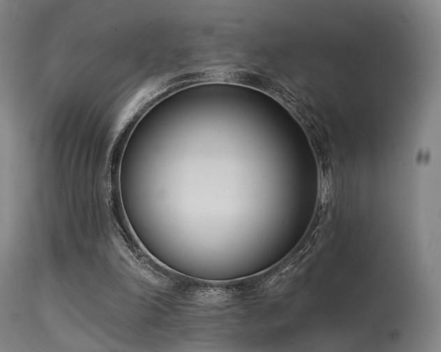 X0000113320198200909211204